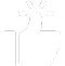 thumbs up icon